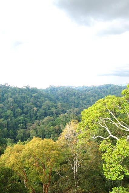 DSC_4423.JPG
